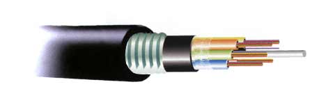 ������w�����|